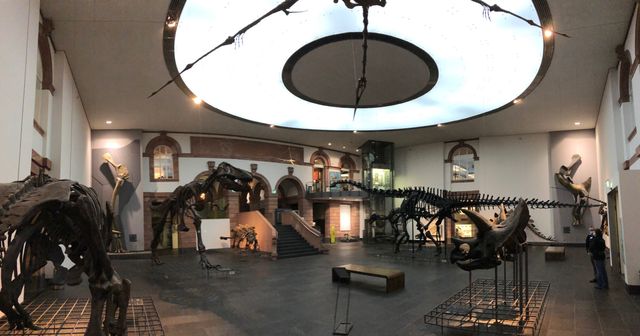 Ausstellungshalle mit Skelett eines großen Dinosauriers und Besuchern.