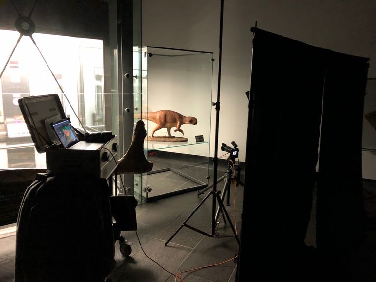 Fotostudio mit Roboterhund und Kameraausrüstung in beleuchtetem Raum.