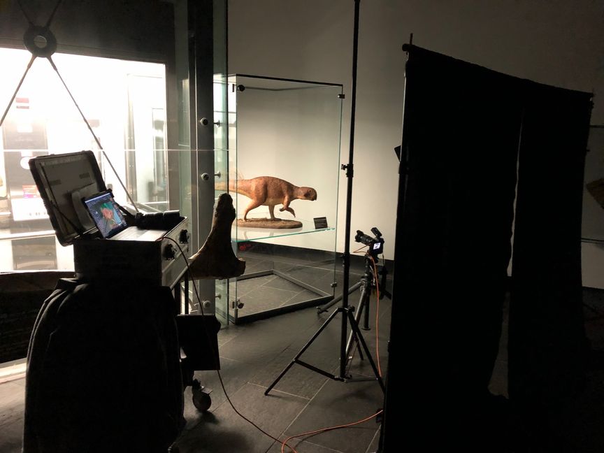 Fotostudio mit Roboterhund vor grünem Hintergrund und Kameraausrüstung.